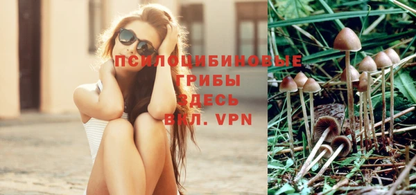 тгк Карталы